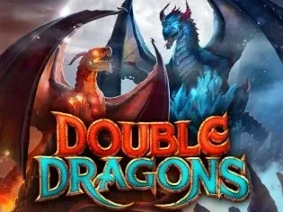 Double Dragons game cover